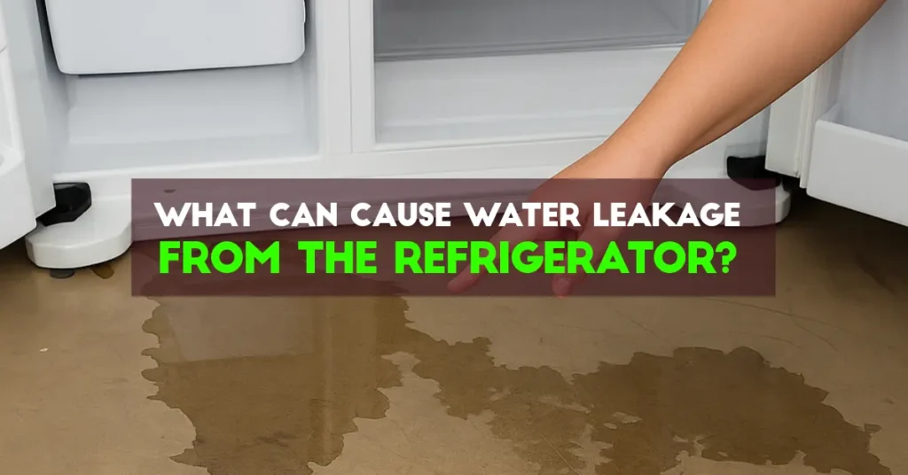 What Can Cause Water Leakage from the Refrigerator?