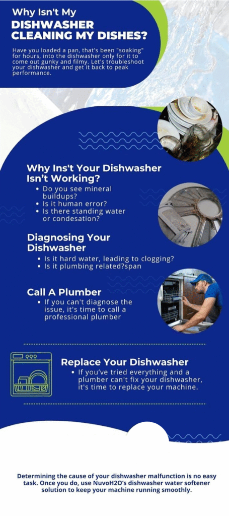 Why My Dishwasher Not Cleaning