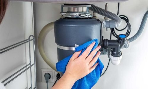 imgi_1_woman-cleaning-garbage-disposal-1223683805 imgi_1_woman-cleaning-garbage-disposal-1223683805